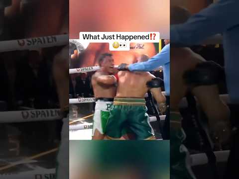 Wanderlei Silva Just Got KNOCKED OUT In Post-Fight Brawl😳👀 #ufc