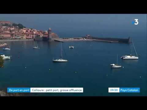 Pyrénées-Orientales : Collioure, petit port, grosse affluence.
