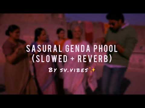 sasural genda phool l Slowed Reverb l Delhi-06 l Abhishek Bachchan l Sonam Kapoor