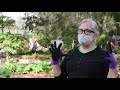 Community Gardens Grow Food Fellowship In Seminole Heights As Pandemic Safe Activity