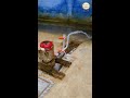 How To Repair A Water Motor Tamil Jailer Tamil Jailer