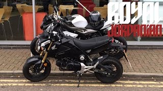 Honda MSX 125 (Grom) test ride