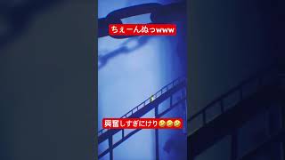 ちぇーんぬっwww #shorts