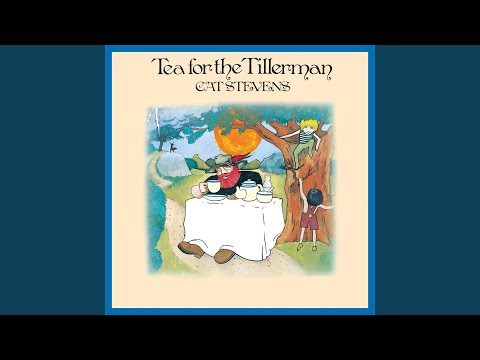 On the Road to Find Out - Cat Stevens
