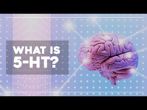 How Psychedelics affect Serotonin - Professor David Nutt on the New Science of Psychedelic therapy.