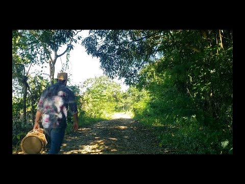 Retro Jazz: Mensaje (Arroyito Cristalino)