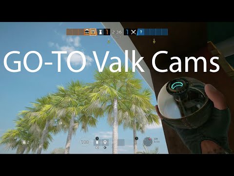 The Best Go-To Valkyrie Cameras on Coastline || The Alpha Pack