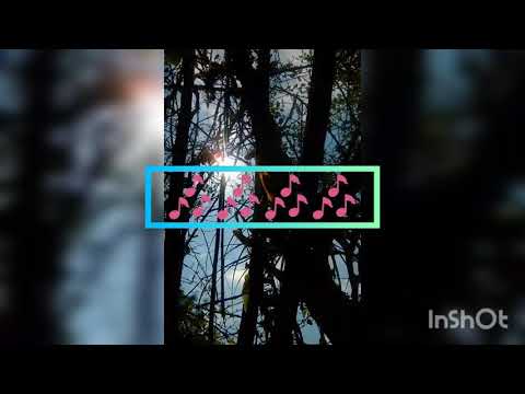 Flying Decibels feat. Olya Gram - Don't go letra en español