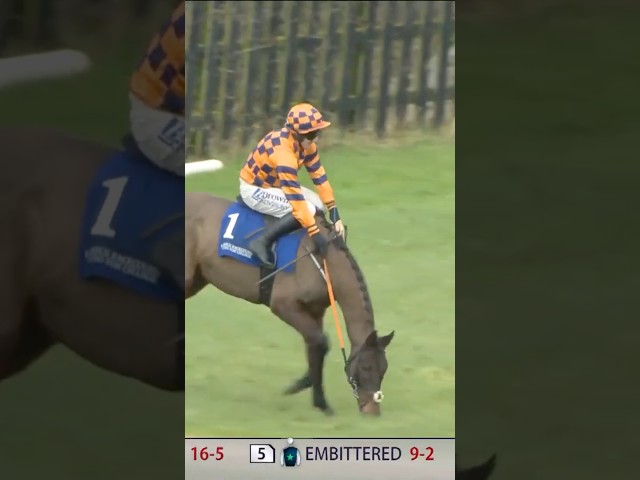 Thumbnail for Post ID: ocvN7RGd3ZQ