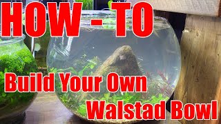 Walstad Shrimp Bowl - How To Build Your Own