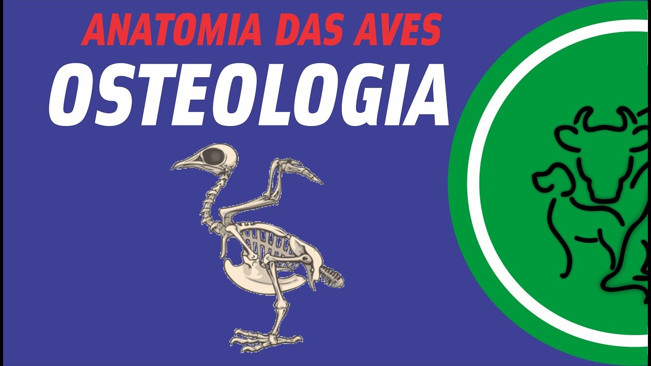 ANATOMIA DAS AVES - OSTEOLOGIA