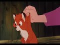 El Zorro Y El Sabueso El Pequeño Tod
