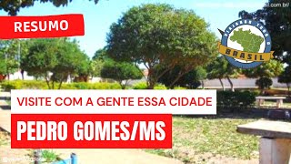 preview picture of video 'Viajando Todo o Brasil - Pedro Gomes/MS'