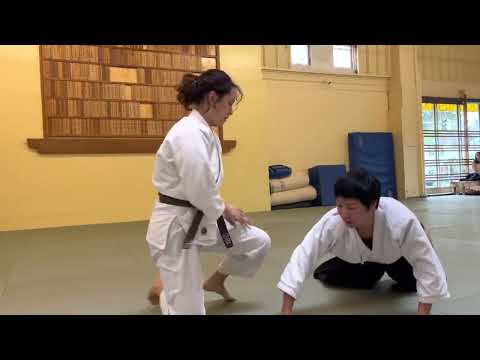 2nd Kyu test Tenzan Aikido April 15, 2023