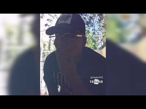 NEELO - GUAYACO BATRACIO ☠️