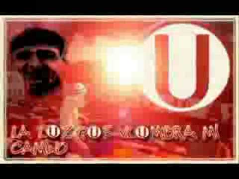 Todas las campañas que viví