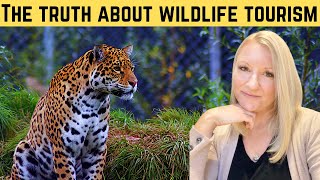 Wildlife Tourism | Should Animals Be Used For Entertainment?