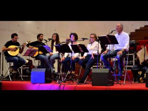 Acústicos Tradicionais - Celina