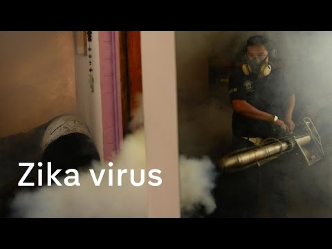 Zika virus: Women in El Salvador advised to avoid pregnancy