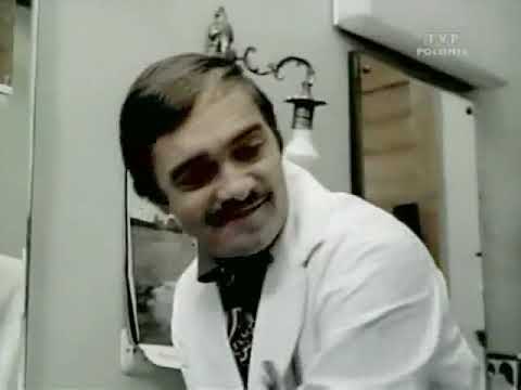 Koty to dranie (1978)