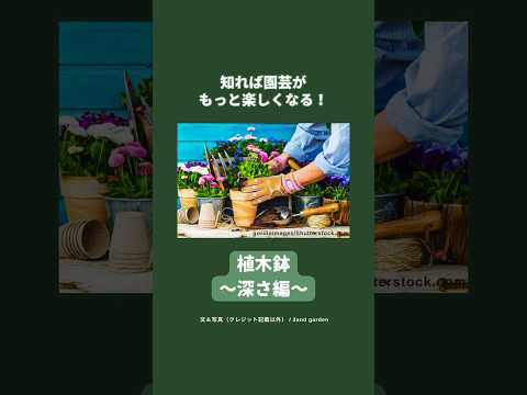 熱波中に植物に水をやる方法のヒント