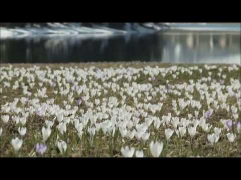 Clint Mansell - The Fountain - Xibalba
