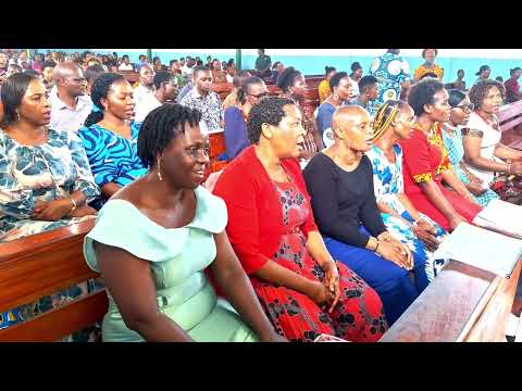 Waamini Tuwe na Juhudi (J. Mgandu) - Organist: Jerry Newman #kwayakatoliki #kanisakatoliki