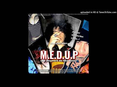 M.E.D.U.P (Me Enamoré De Una Puta) [AUDIO]