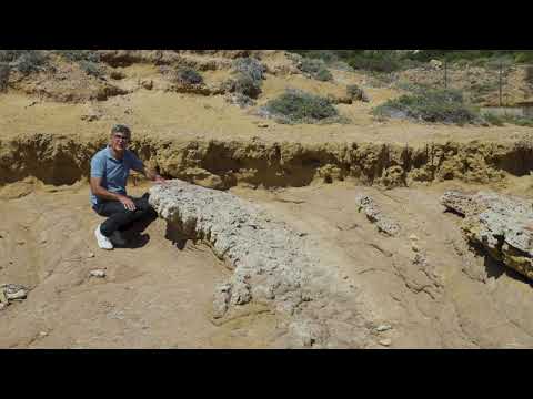 GEOYINCANA 2021: VÍDEO 6/12. DISCORDANCIAS ANGULARES: ...