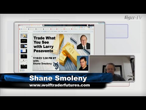 July 18th, 1PM ET Market Update on TFNN - 2023