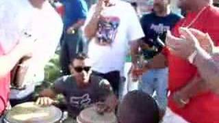 Calle ocho, bomba &amp; plena