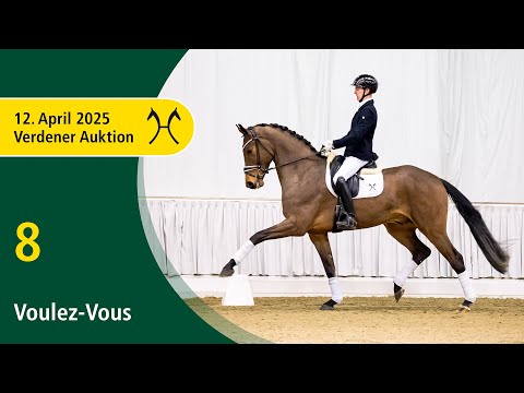 8 Voulez-Vous by V-Plus - Fürsten-Look | Verden Auction OnLive - Spring edition - April, 12th