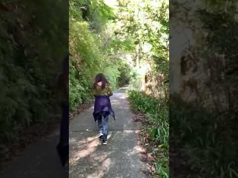 [2023.10.30] Pessoas indo para Hiryu Falls