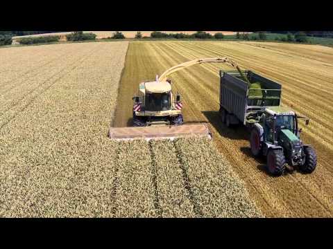 DOMAI MPD 611 - KRONE 1100 - Barra taglio diretto Triticale (1)