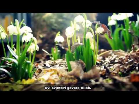 ® HOR ISA-BEG // RECIMO ALLAH (Official 2017)NEW!!!