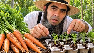 Don’t Plant Carrot Seeds Until You See This Clever Egg Carton Trick!