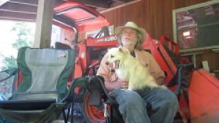 Terence McKenna: "Cultural Engineers Want to Turn You Into a Half-Baked Moron Consuming This Trash"