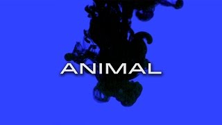 Skyward - "Animal" (Official Music Video)