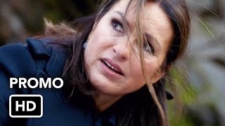 Promo SVU 17x19