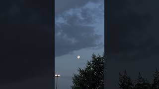 Download lagu emni #dj #edm #electronicmusic #housemusic #music mp3