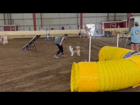 Rayya Fourth Birthday