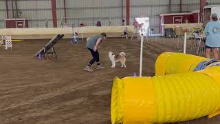 Rayya Fourth Birthday