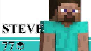 Steve victory theme