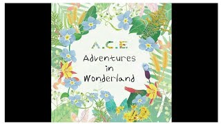 [AUDIO] A.C.E (에이스) - 5TAR (Incompletion)