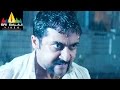 Singam Yamudu 2 Suriya Action Scene Suriya Anushka Hansika Sri Balaji Video