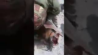 [討論] 好的專案與賺大錢的專案之軍武篇