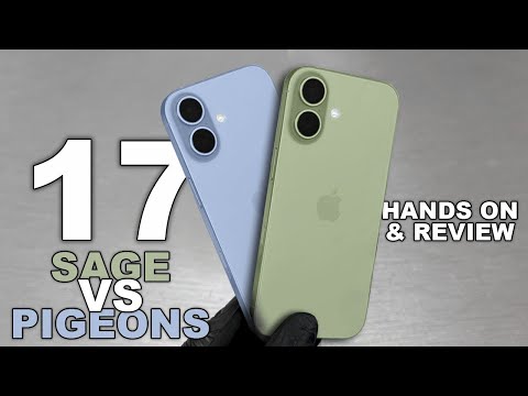 iPhone 17 Sage vs Pigeons Hands On and First Impressions!
