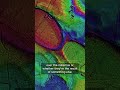 Have You Heard Of Fairy Circles Fairy Circle Mystery Comet Ice Icemelt Lidar Carolina
