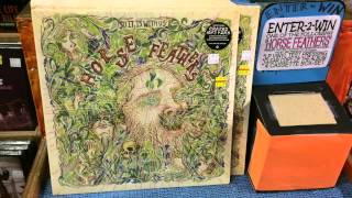 Horse Feathers at Music Millennium