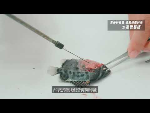 農業職人-水產獸醫師